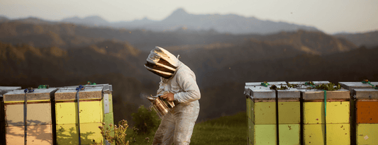 Egmont Honey 純淨與永續 - 紐西蘭蜂農